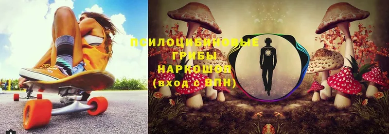 Галлюциногенные грибы Magic Shrooms  даркнет сайт  Волоколамск 